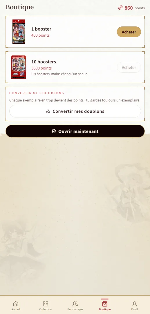 Tohou Project - Boutiques
